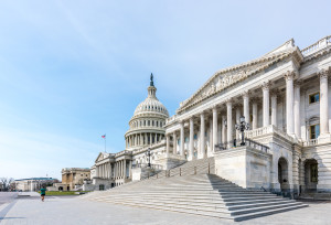 The United States Capitol Building as viewed from the Senate side.