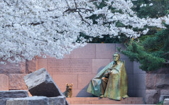 Early Japanese cherry blossoms surround the floodlit monument to Franklin Delano Roosevelt in DC