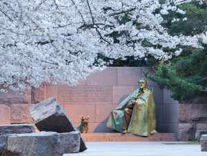 Early Japanese cherry blossoms surround the floodlit monument to Franklin Delano Roosevelt in DC
