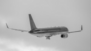 Untitled design-17