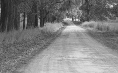 Untitled design-14