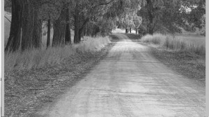 Untitled design-14